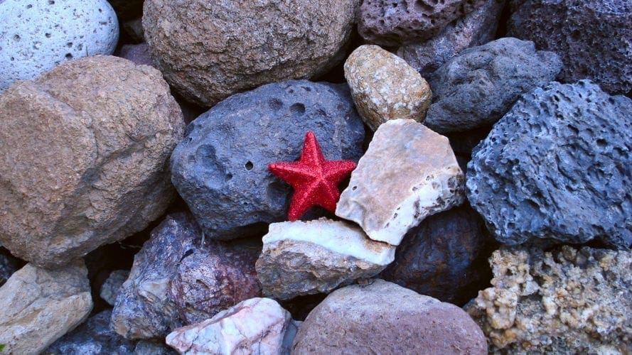 A star has fallen (Una estrella ha caído)