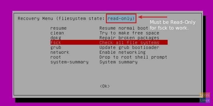 fsck read-only file system mode