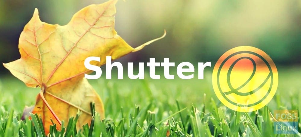 shutter