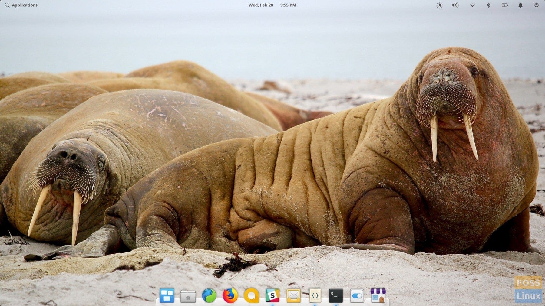 desktop OS 5.0 Juno elemantaris