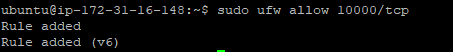 sudo ufw allow 10000