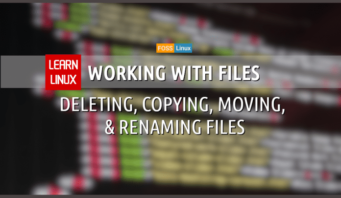 Working with files on Linux Terminal Working with folders on Linux Terminal