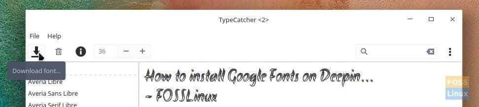 TypeCatcher Interface