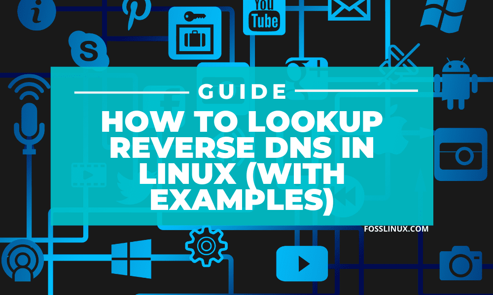 Reverse DNS Lookup - ®