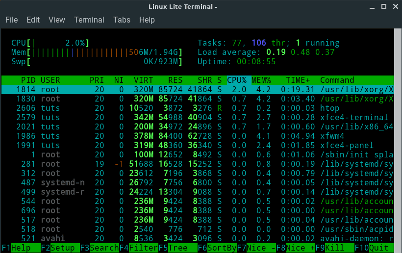 Linux Lite htop Output