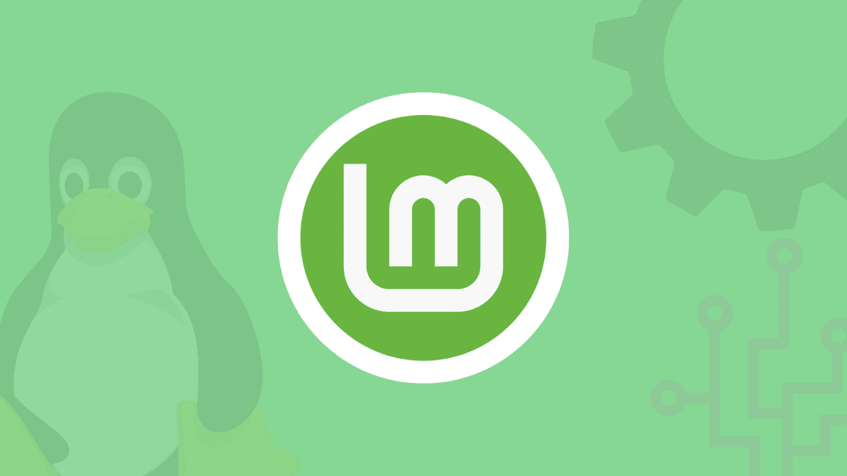 linux mint black screen when booting