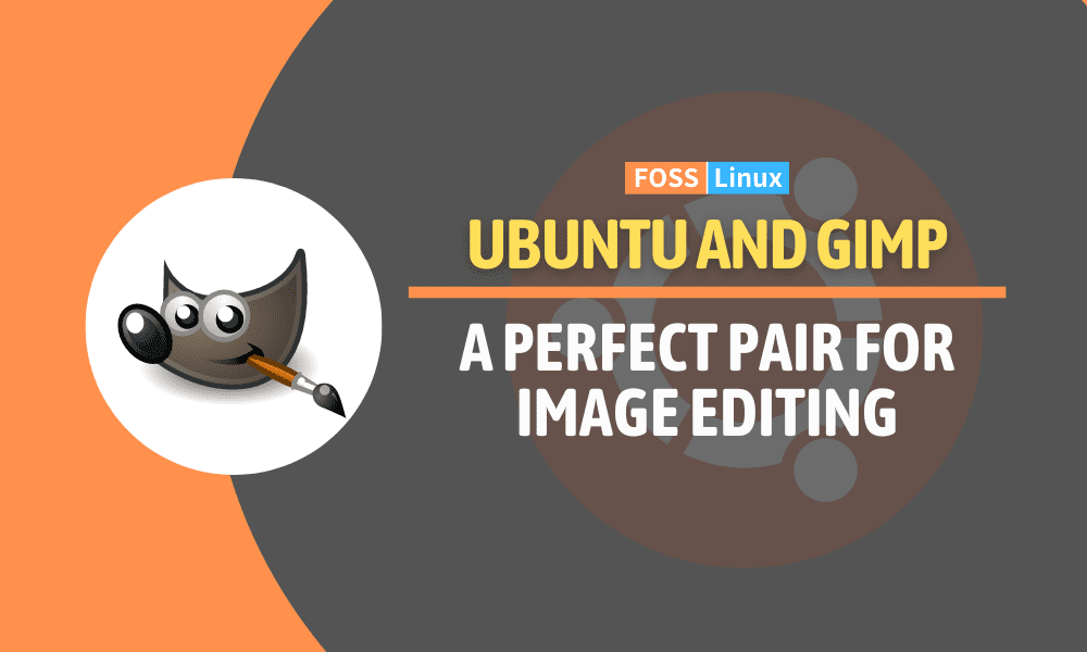 How do I add text to an animated .gif in gimp? - Ask Ubuntu