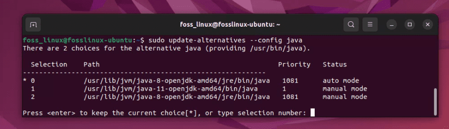 selecting a java version