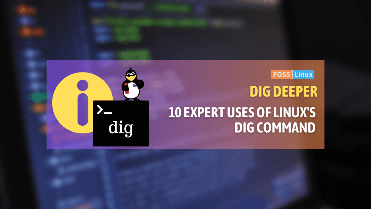 10 Advanced Ways to Use the Dig Command in Linux