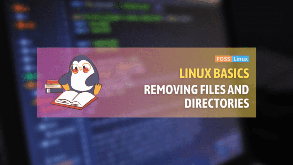 remove files linux